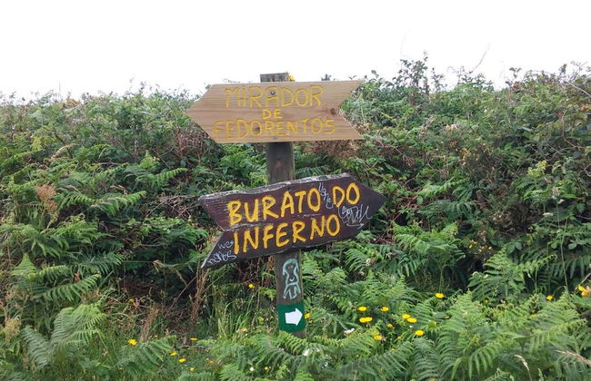 Ons Island Boat Transfer - Photo 5