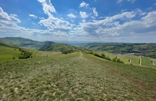 Weingut & Straußwirtschaft Vogel - Foto 51