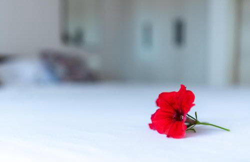 House Daniva - Foto 38