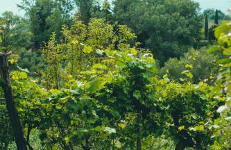 Asolo Norah's Hill Agri Rooms - Foto 47