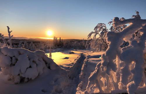 Ferienhaus Tooren - Foto 31