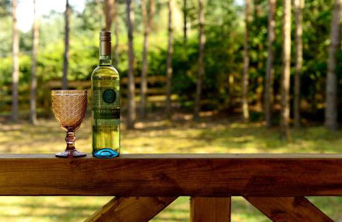 Mazury - Giżycko - Harsz - Domki - ApartMazury Osada - Foto 49