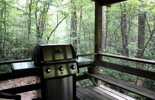 Charming Cabin Rental in the Forest near Beckley, West Virginia - Foto 19