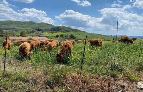 Il Pastore chic - Foto 11