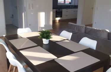 Neubau Appartement mit Terasse, privater Eingang,Parkplatz,Küche - Foto 4