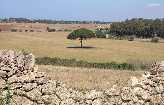 Holiday Home Sogno Siciliano - Foto 30