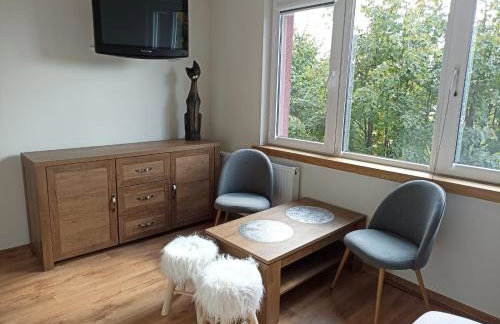 Apartament Pod Lipami - Foto 7