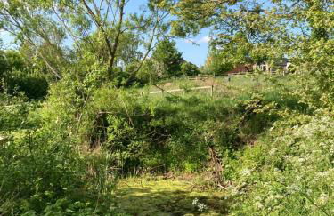 The Shepherd's Hut with cozy logburner - Foto 58