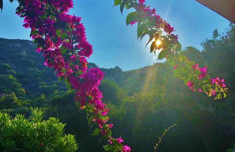 Villa Dolce Vita - Foto 29