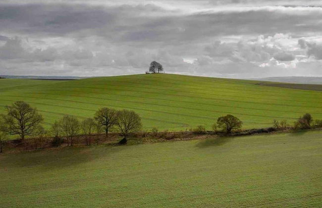 Cottage in Area of Outstanding Natural Beauty - Foto 47