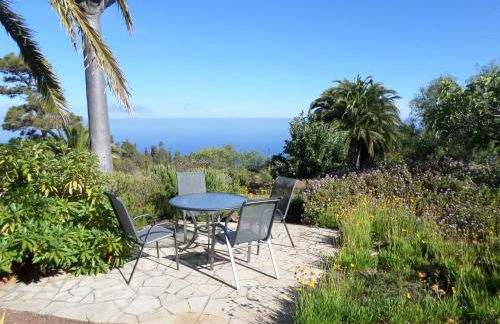 Casa Palmera - Photo 35