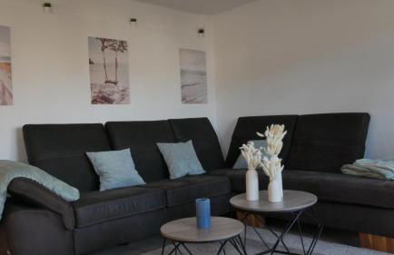 Großer Elefant - Foto 11