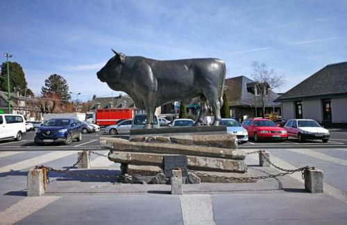 Appart T2 Village vacance 3 étoiles St Geniez d'Olt 2 piscines chauffées 75 - Photo 20