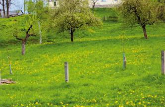 Ferienhof Berghof - Foto 64
