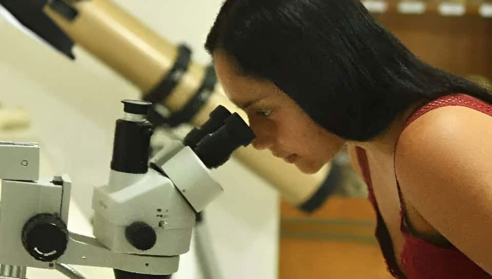 Tour por el Museo de Historia Natural de la Tatacoa + Taller de fósiles