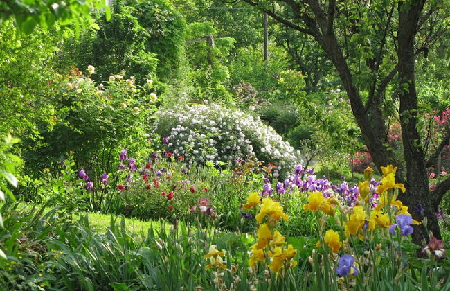 La Traversina - Agriturismo di Charme - Foto 35