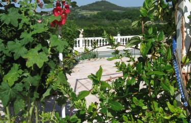 La Bastide des Raisins - Photo 21