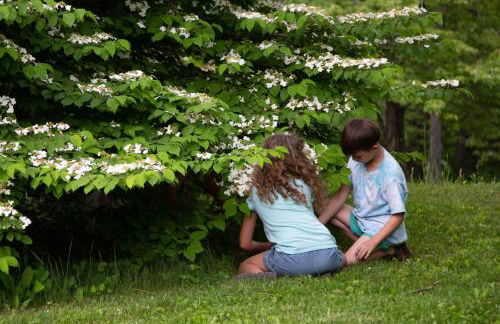 Love Ridge Mountain Lodging - Foto 20