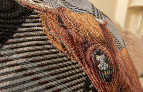 Private Entrance GF 2 bed flat near Renfrew Centre - Pass the Keys - Foto 40