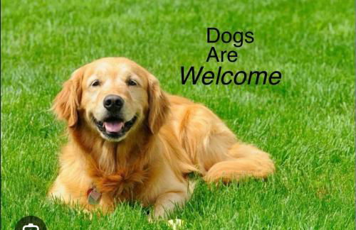 Forest hart - Foto 2