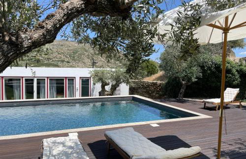 Pedra Nova - Turismo d'aldeia - Foto 5