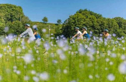 Gîte Les Eaux du Moulin piscine chauffée et jacuzzi - Foto 49