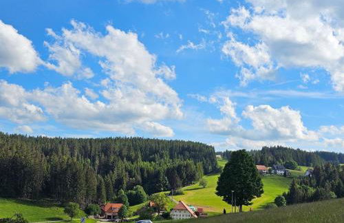 Miuti Residence - Foto 57