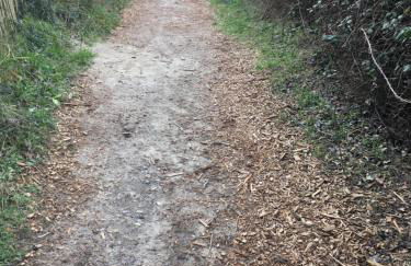 Maison calme Quend-Plage - Photo 30