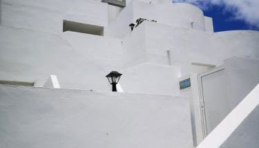 Estrella de Mar - Photo 4