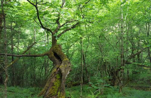 Casa de Aldea El Sol - Foto 30