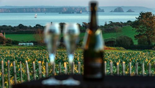 Les Gîtes de Fabie - Villa vue mer avec spa - Plougonvelin - Photo 2