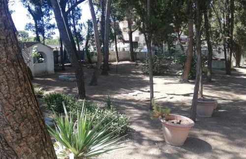 Wild Paradise - Foto 7