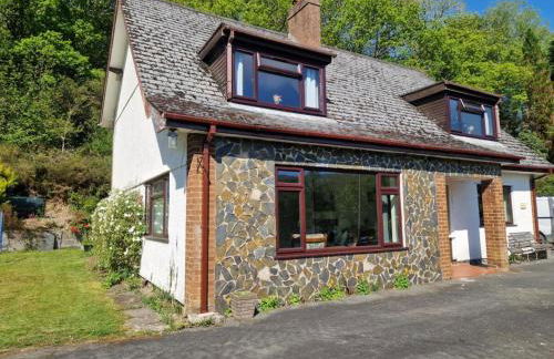 Y Fedw Wen - Foto 42