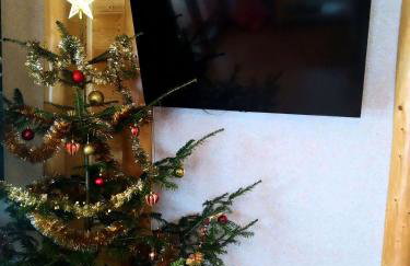 Bieszczadzkie Dworki - Foto 70