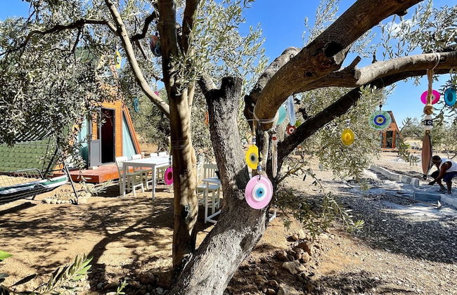 Bıngıdı Bungalov - Foto 76