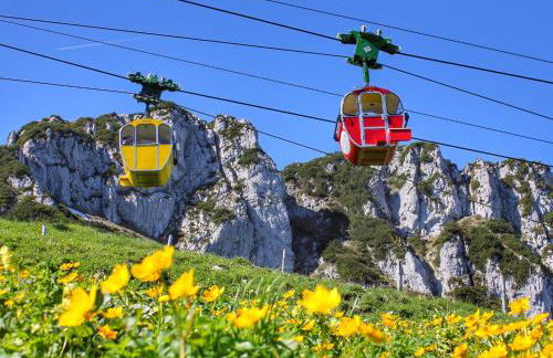 Landhaus Koch - Foto 5