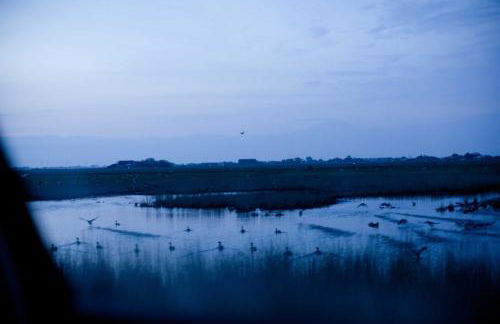 Tede Warft Freistehend am Deich mit Sauna - Foto 35