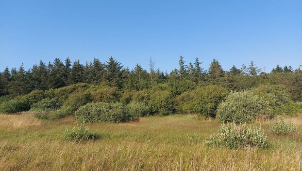 Cozy Holiday Home in Erslev near Ocean - Foto 5, Verschiedenes