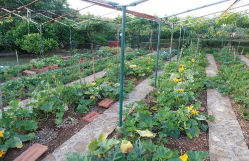 Jenny`s House - Photo 13