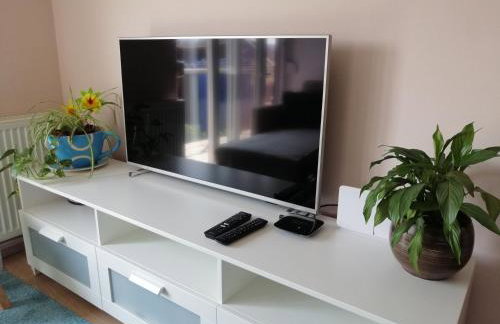 Apartman Kopriva - Photo 8