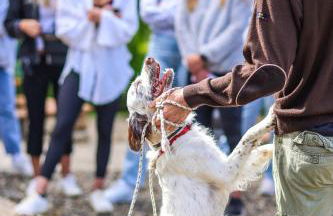 Bio-Agriturismo La Ginestra - Foto 69