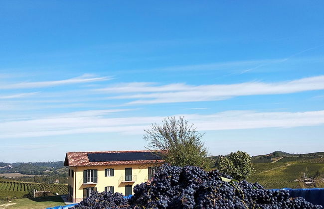 Al Tirabusòn Countryhouse - Foto 61