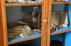 Villa Angela Neuer Rosengarten - Photo 15