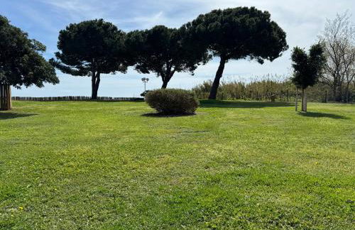 Appartement n 302 moriani plage - Foto 38