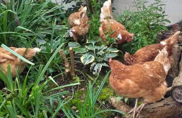 The LITTLE HOUSE in HULL - Foto 55