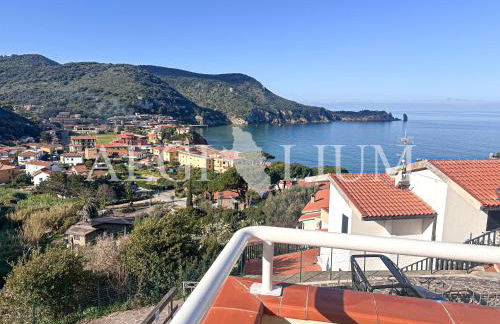 Giglio Viola - Foto 6