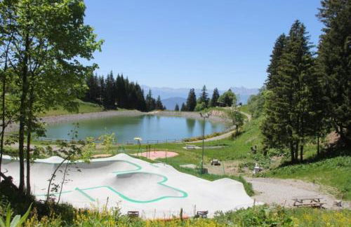 Charmant studio cabine COSY à 100 m des pistes - Foto 40