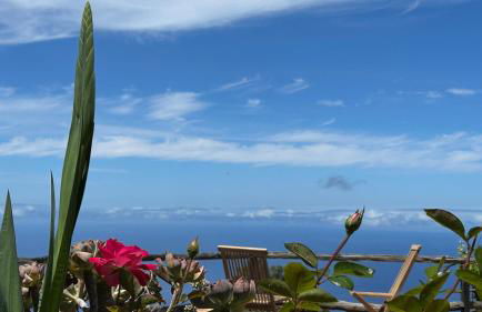 Casa Maruca - Foto 26