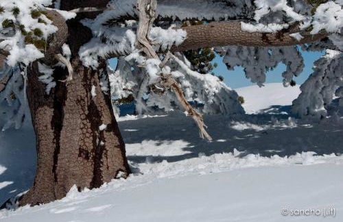 Tana di Zia Nature, Yourself, Love - Foto 48