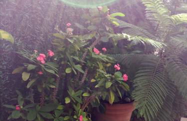 GLAMOUR en el ARENAL - Foto 56